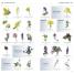What's that Flower? - thumbnail of spread image 1 Thumbnail image of What's that Flower? - 1