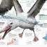 Knowledge Encyclopedia Ocean! - thumbnail of spread image 4 Thumbnail image of Knowledge Encyclopedia Ocean! - 4