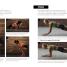 High-Intensity Interval Training for Women - thumbnail of spread image 3 Thumbnail image of High-Intensity Interval Training for Women - 3