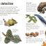 Woodland and Forest - thumbnail of spread image 1 Thumbnail image of Woodland and Forest - 1