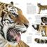 Natural History - thumbnail of spread image 3 Thumbnail image of Natural History - 3