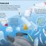 The Sea Book - thumbnail of spread image 3 Thumbnail image of The Sea Book - 3