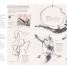 Artist's Drawing Techniques - thumbnail of spread image 2 Thumbnail image of Artist's Drawing Techniques - 2