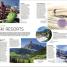 DK Eyewitness Travel Guide Italy - thumbnail of spread image 2 Thumbnail image of DK Eyewitness Travel Guide Italy - 2