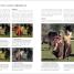 Digital Photographer's Handbook - thumbnail of spread image 1 Thumbnail image of Digital Photographer's Handbook - 1