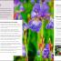 RHS How to Create your Garden - thumbnail of spread image 2 Thumbnail image of RHS How to Create your Garden - 2