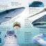Sharks - thumbnail of spread image 1 Thumbnail image of Sharks - 1