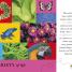 Life As We Know It - thumbnail of spread image 3 Thumbnail image of Life As We Know It - 3