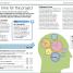 DK Essential Managers: Project Management - thumbnail of spread image 1 Thumbnail image of DK Essential Managers: Project Management - 1