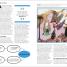 The Religions Book - thumbnail of spread image 1 Thumbnail image of The Religions Book - 1