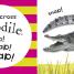 Baby Sparkle Animals - thumbnail of spread image 2 Thumbnail image of Baby Sparkle Animals - 2
