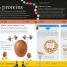 Are You What You Eat? - thumbnail of spread image 2 Thumbnail image of Are You What You Eat? - 2