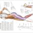 Science of Running - thumbnail of spread image 2 Thumbnail image of Science of Running - 2