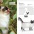 The Cat Encyclopedia - thumbnail of spread image 4 Thumbnail image of The Cat Encyclopedia - 4