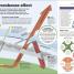 How Science Works - thumbnail of spread image 1 Thumbnail image of How Science Works - 1