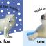 Baby Touch and Feel: Cuddly Animals - thumbnail of spread image 1 Thumbnail image of Baby Touch and Feel: Cuddly Animals - 1