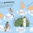 Ultimate Sticker Book: Ancient Rome - thumbnail of spread image 1 Thumbnail image of Ultimate Sticker Book: Ancient Rome - 1