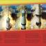 The Space Race - thumbnail of spread image 1 Thumbnail image of The Space Race - 1