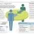 The Essential Manager's Handbook - thumbnail of spread image 2 Thumbnail image of The Essential Manager's Handbook - 2