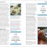 The Religions Book - thumbnail of spread image 2 Thumbnail image of The Religions Book - 2