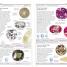 Gemstones - thumbnail of spread image 1 Thumbnail image of Gemstones - 1