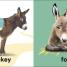 Baby Touch and Feel Bible Animals - thumbnail of spread image 1 Thumbnail image of Baby Touch and Feel Bible Animals - 1