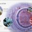 Your Pregnancy Week by Week - thumbnail of spread image 3 Thumbnail image of Your Pregnancy Week by Week - 3