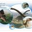 Meet the Dinosaurs - thumbnail of spread image 2 Thumbnail image of Meet the Dinosaurs - 2