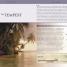 Essential Shakespeare Handbook - thumbnail of spread image 2 Thumbnail image of Essential Shakespeare Handbook - 2