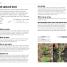 Grow Vegetables - thumbnail of spread image 1 Thumbnail image of Grow Vegetables - 1