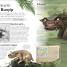 Children's Book of Mythical Beasts and Magical Monsters - thumbnail of spread image 1 Thumbnail image of Children's Book of Mythical Beasts and Magical Monsters - 1
