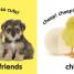 Baby Touch and Feel: Fluffy Animals - thumbnail of spread image 2 Thumbnail image of Baby Touch and Feel: Fluffy Animals - 2