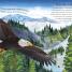 Through the Animal Kingdom - thumbnail of spread image 1 Thumbnail image of Through the Animal Kingdom - 1