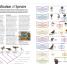 Science - thumbnail of spread image 1 Thumbnail image of Science - 1