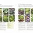 Grow All You Can Eat In Three Square Feet - thumbnail of spread image 1 Thumbnail image of Grow All You Can Eat In Three Square Feet - 1