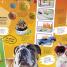 Video Ideas - thumbnail of spread image 2 Thumbnail image of Video Ideas - 2