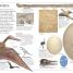 Fossil - thumbnail of spread image 1 Thumbnail image of Fossil - 1
