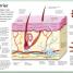 My Amazing Body Machine - thumbnail of spread image 3 Thumbnail image of My Amazing Body Machine - 3