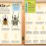 Bugs Ultimate Factivity Collection - thumbnail of spread image 1 Thumbnail image of Bugs Ultimate Factivity Collection - 1