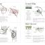 Embroidery Stitches Step-by-Step - thumbnail of spread image 3 Thumbnail image of Embroidery Stitches Step-by-Step - 3