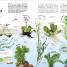 Trees, Leaves, Flowers & Seeds - thumbnail of spread image 4 Thumbnail image of Trees, Leaves, Flowers & Seeds - 4