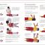 The Complete Book of Mother and Babycare - thumbnail of spread image 1 Thumbnail image of The Complete Book of Mother and Babycare - 1