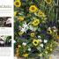 RHS How to Grow Practically Everything - thumbnail of spread image 3 Thumbnail image of RHS How to Grow Practically Everything - 3