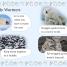 DK Readers L2: Wild Baby Animals - thumbnail of spread image 2 Thumbnail image of DK Readers L2: Wild Baby Animals - 2