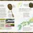 The Tea Book - thumbnail of spread image 1 Thumbnail image of The Tea Book - 1