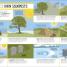 Survival! - thumbnail of spread image 1 Thumbnail image of Survival! - 1