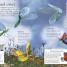Eye Wonder: Bugs - thumbnail of spread image 1 Thumbnail image of Eye Wonder: Bugs - 1