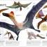 The Dinosaurs Book - thumbnail of spread image 5 Thumbnail image of The Dinosaurs Book - 5