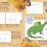 How to Draw - thumbnail of spread image 2 Thumbnail image of How to Draw - 2