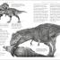 Dinosaurs - thumbnail of spread image 1 Thumbnail image of Dinosaurs - 1